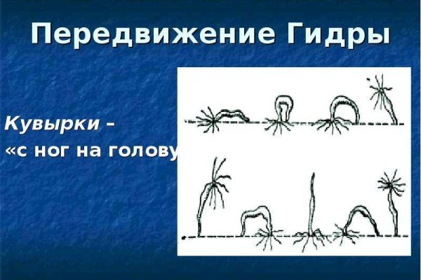 Кракен маркетплейс в тг