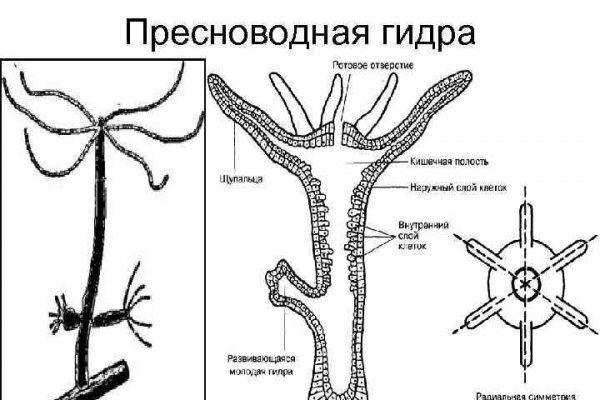 Кракен москва