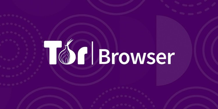 Kraken рынок