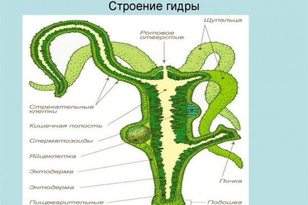 Кракен даркнет маркет ссылка тор